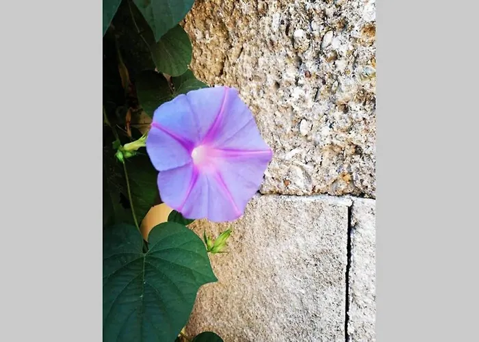 Natasha's Nest Apartment Rhodes City