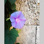 Natasha's Nest Appartamento Rhodes City
